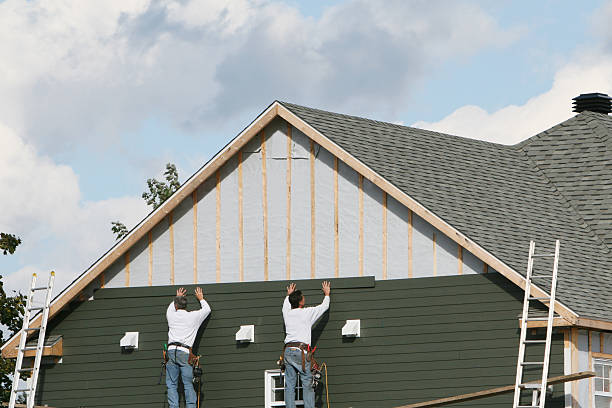 Affordable Siding Repair and Maintenance Services in Moline, IL